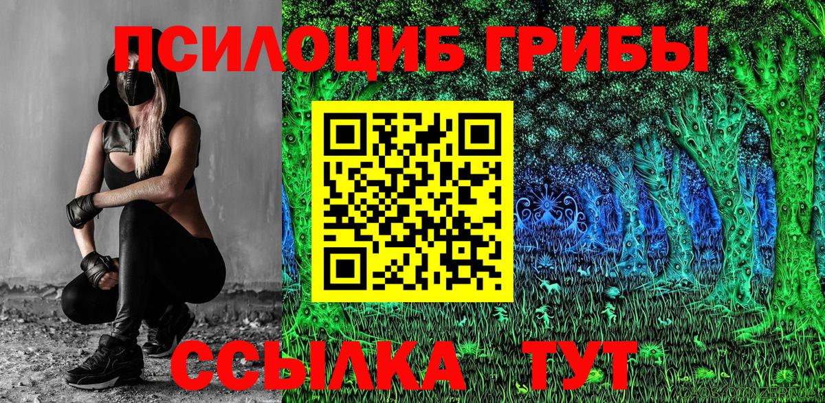Псилоцибиновые грибы Cubensis  Вход с VPN  где можно купить наркотик  Красноармейск 